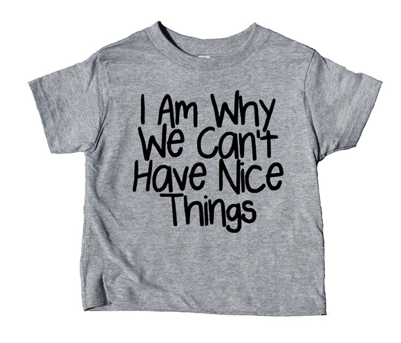 I Am Why We Can't Have Nice Things Toddler Shirt Funny Boy Girl Kids Birthday Clothing