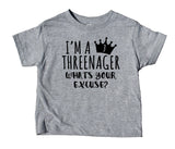 I'm A Threenager What's Your Excuse Toddler Shirt Three Girls Third Birthday Party Clothes Kids Clothing