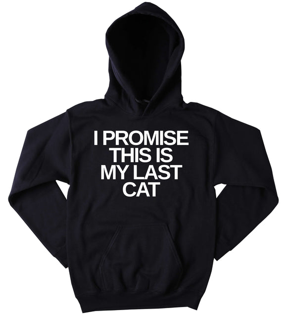 Cute Cat Sweatshirt I Promise This Is My Last Cat Hoodie Kitten Lover Tumblr Jumper