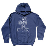 Funny Cat Owner Hoodie I Was Normal Three Cats Ago Sweatshirt Kitten Lover Clothing