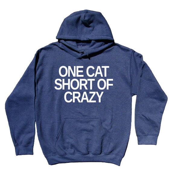 Crazy Cat Lady Hoodie One Cat Short Of Crazy Sweatshirt Cute Kitten Lover Cat Owner Gift