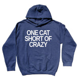 Crazy Cat Lady Hoodie One Cat Short Of Crazy Sweatshirt Cute Kitten Lover Cat Owner Gift