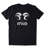 Aries Sign Shirt Ram Birthday Horoscope Zodiac Symbol Astrological T-shirt
