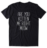 Are You Kitten Me Right Meow Shirt Funny Cat Owner Pun Kitty Lover T-shirt